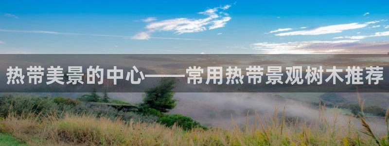 新宝gg玩法