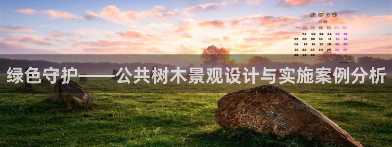 新宝 5 gg：绿色守护——公共树木景观设计与实施案例分析