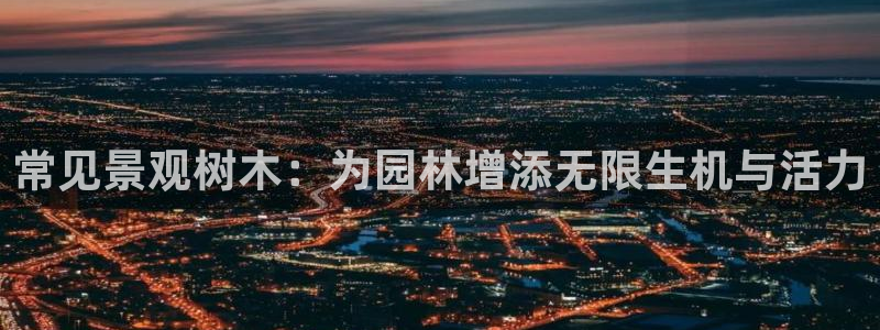 新宝gg 创