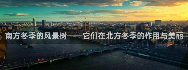新宝gg登录：南方冬季的风景树——它们在北方冬季的作用与美丽